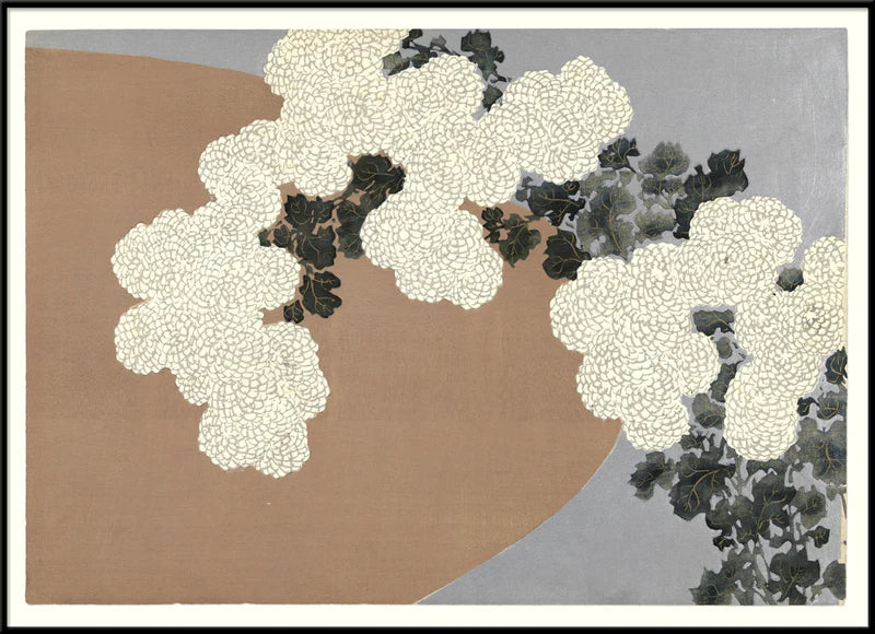  Chrysantemum / Black alu frame